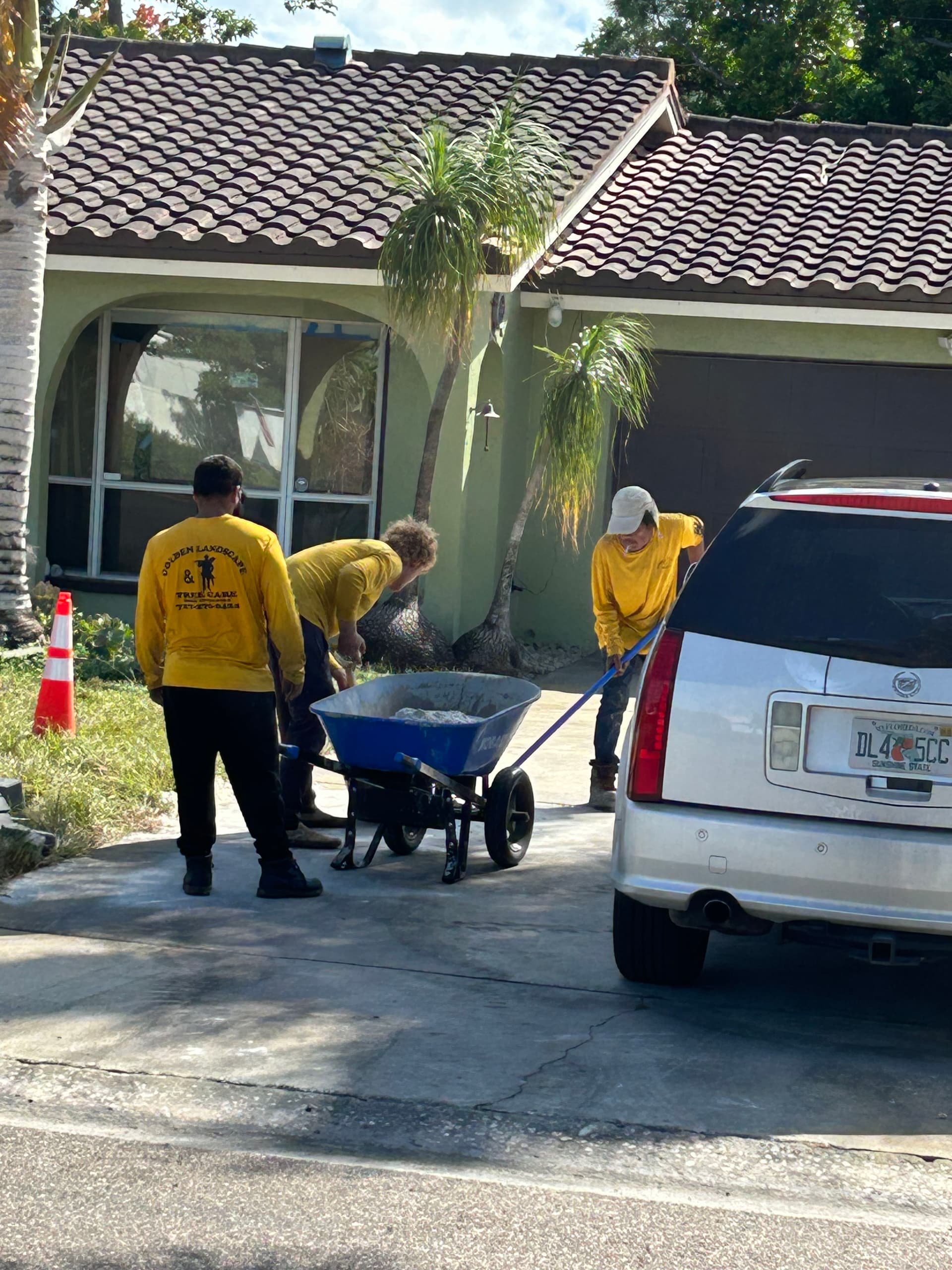 Teamwork at Its Best with Golden Landscape & Tree Care