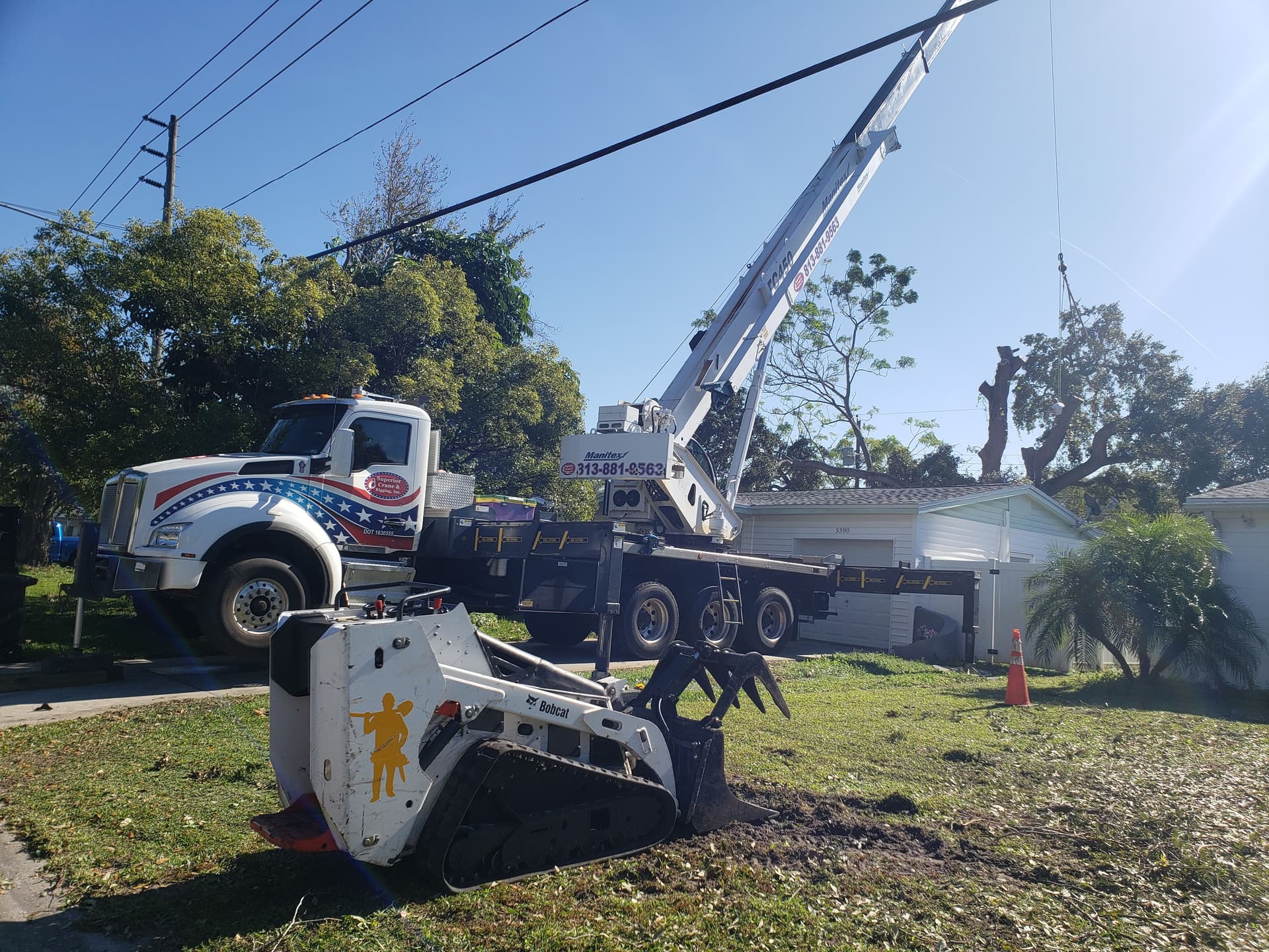Efficient Tree Removal in a Suburban Neighborhood