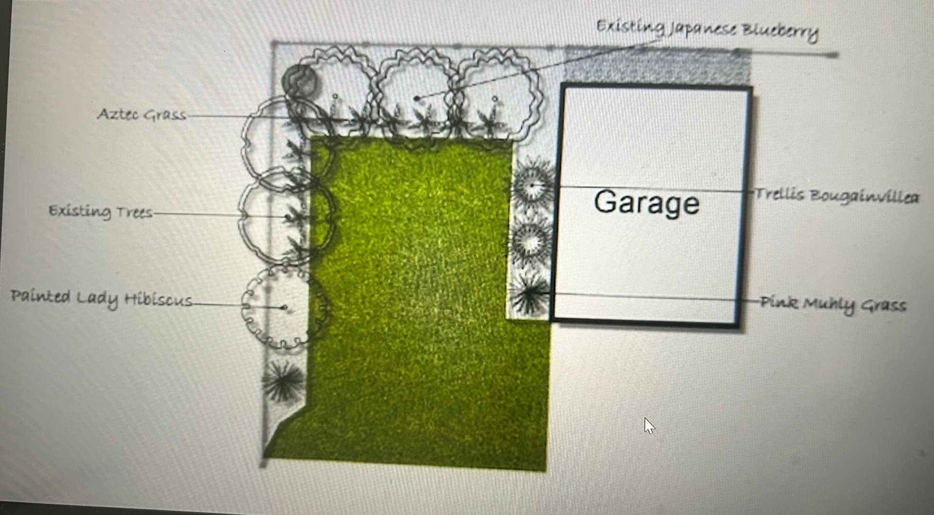 Front Yard Landscaping Transformation image