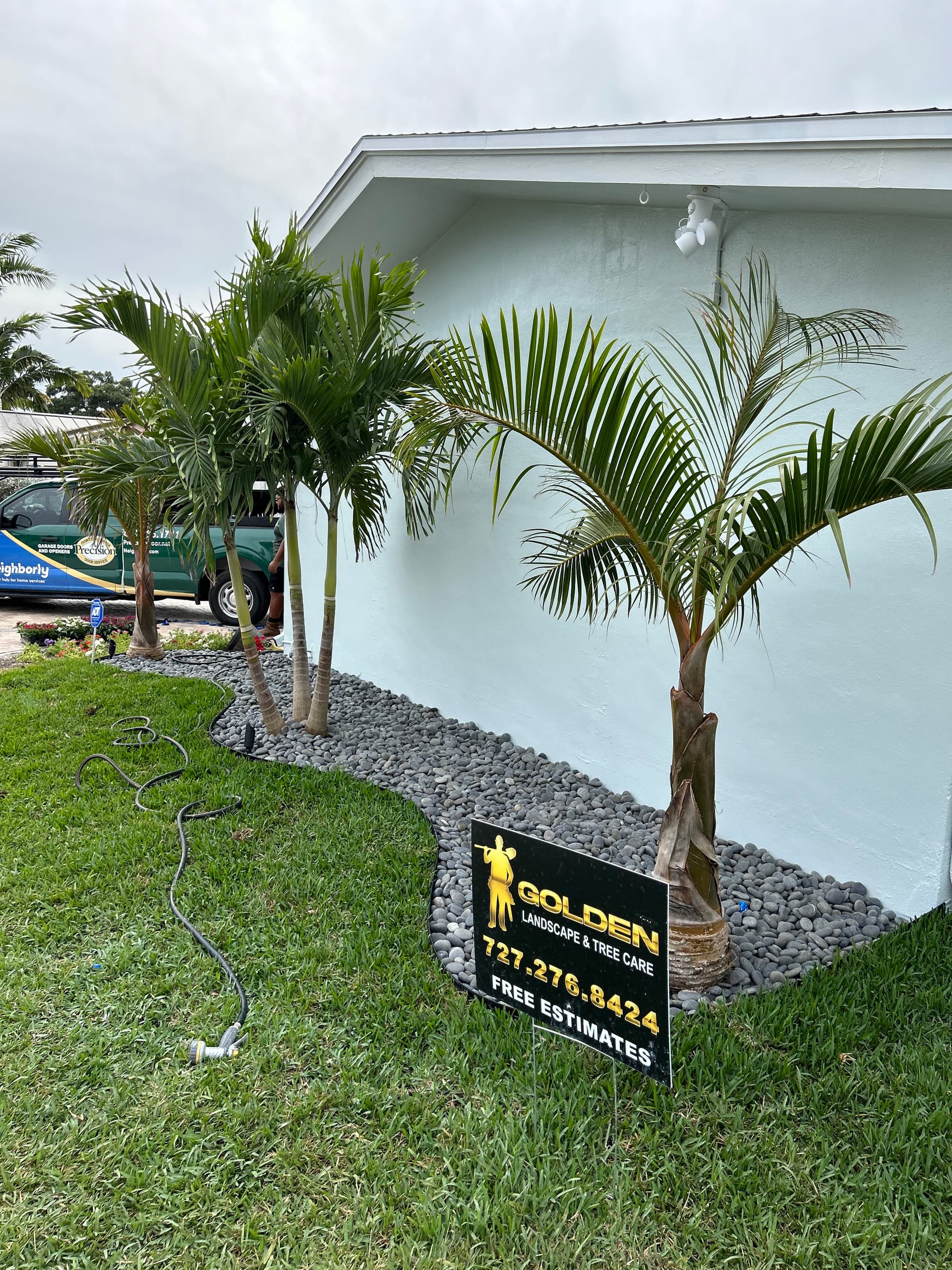 Outdoor Oasis Makeover with Pavers and Palm Trees