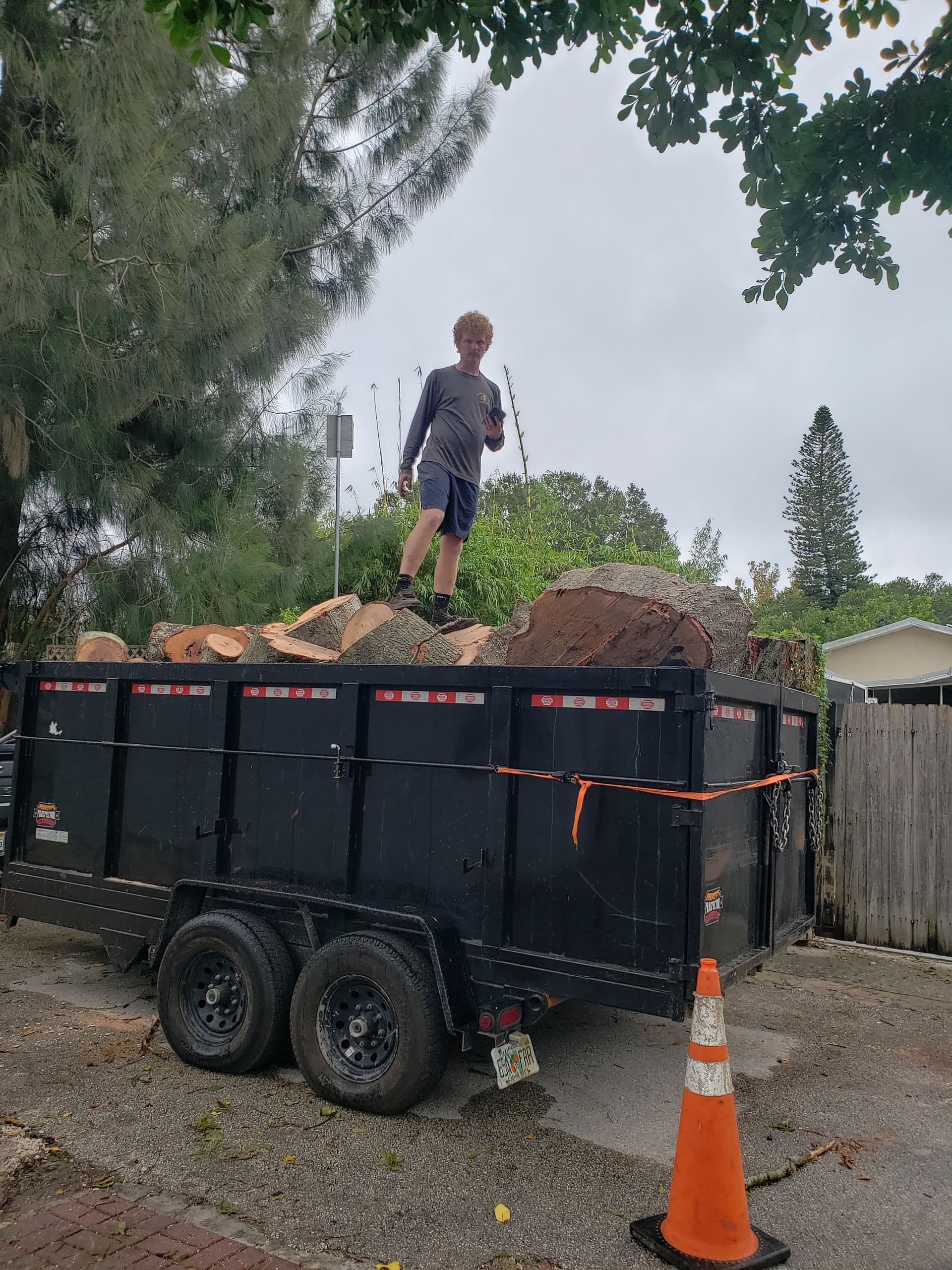 Gallery photos for Efficient Tree Removal Service: Image #9