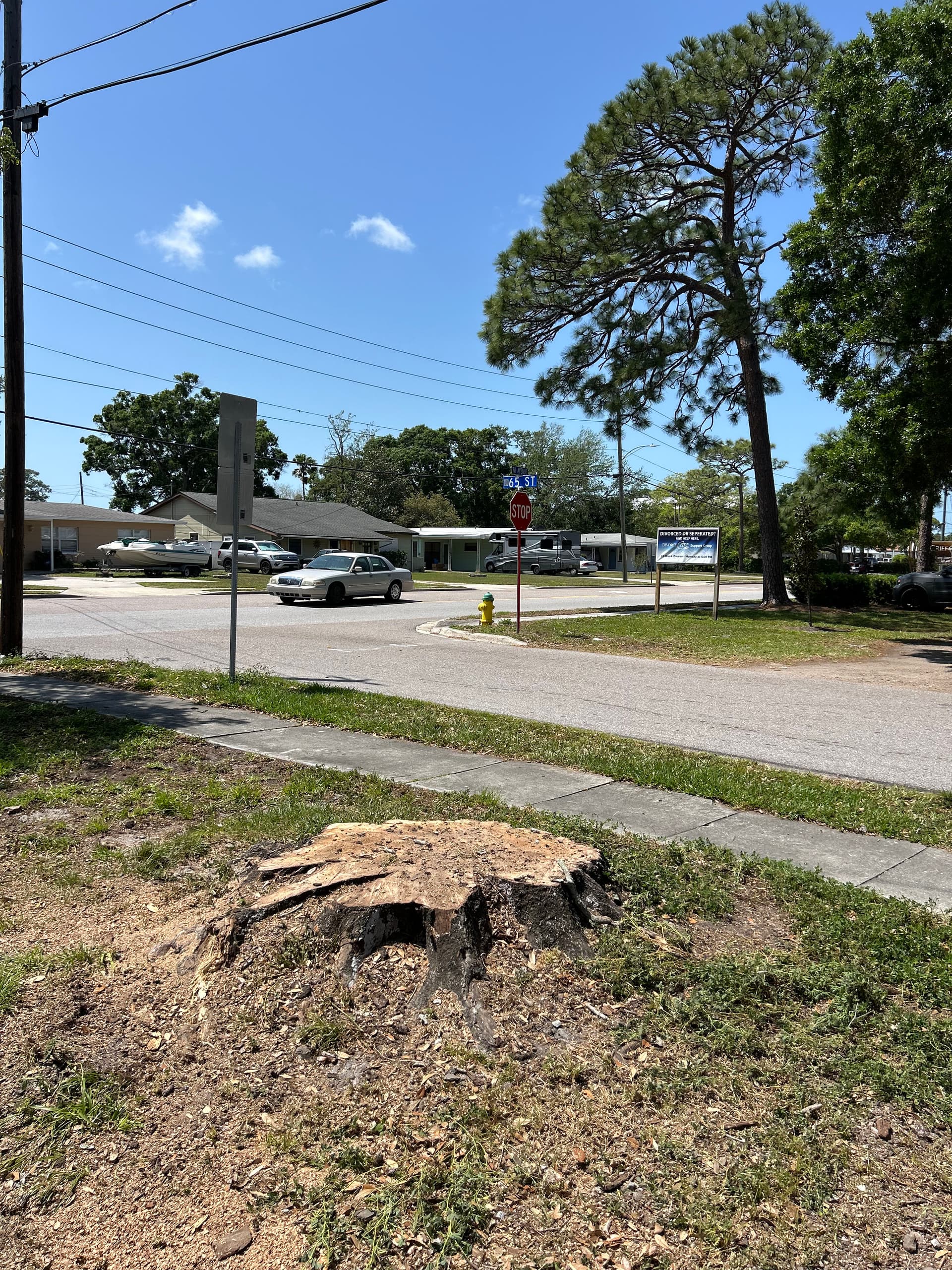 Stump Removal for a Seamless Yard