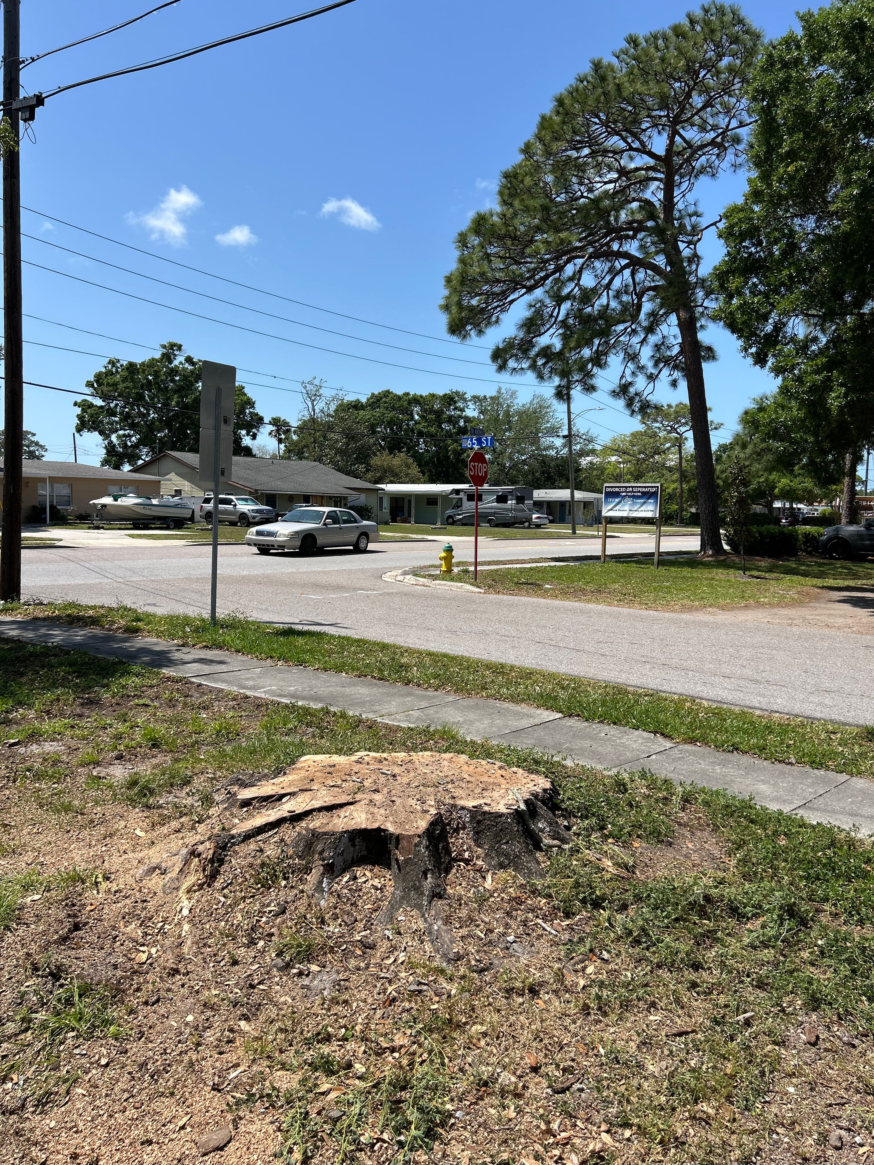 Project Stump Removal for a Seamless Yard image