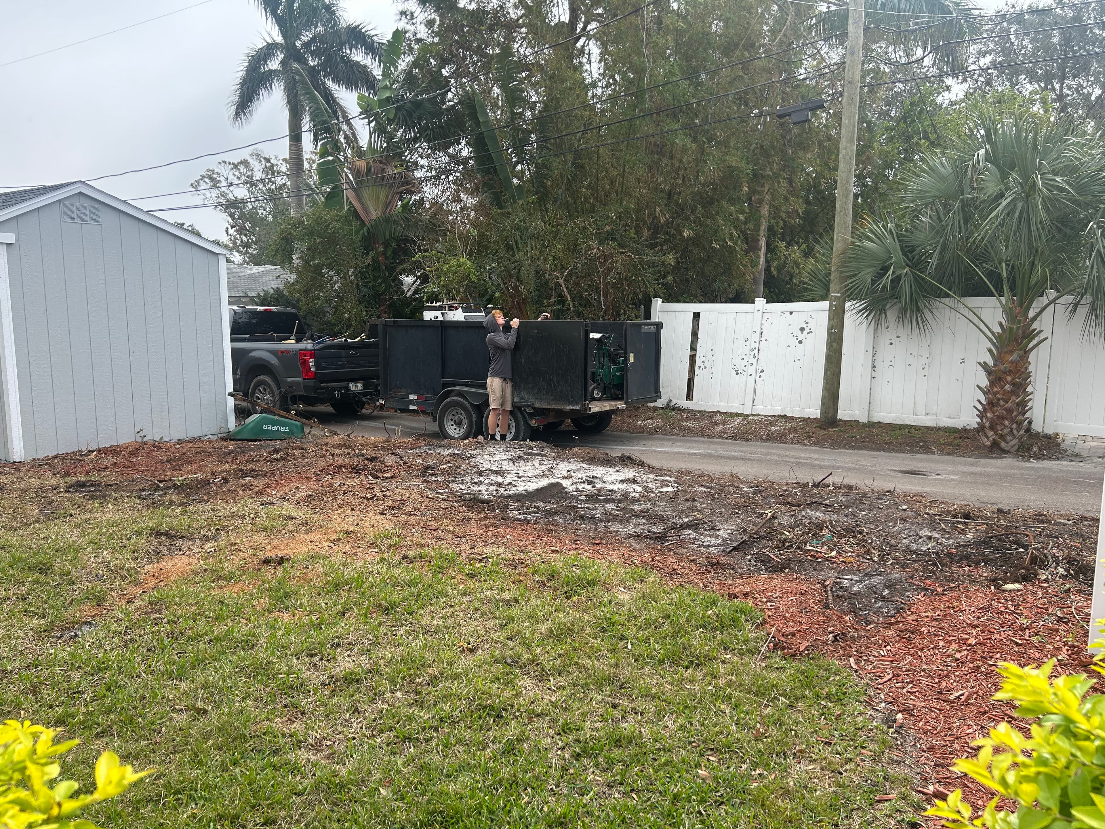 Project Smooth Transition - Tree and Stump Clearing Done Right image