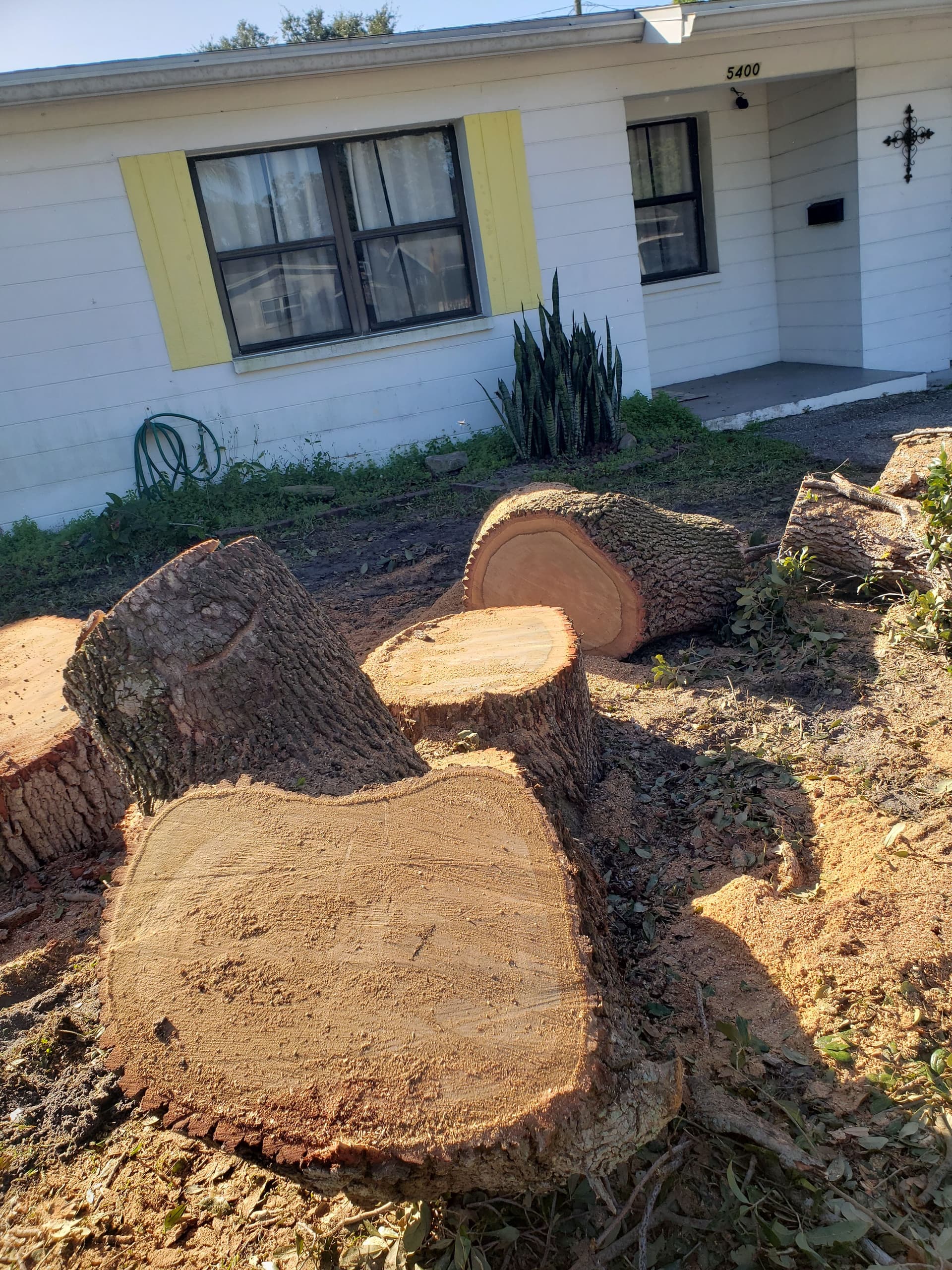Gallery photos for Efficient Tree Removal in a Suburban Neighborhood: Image #5
