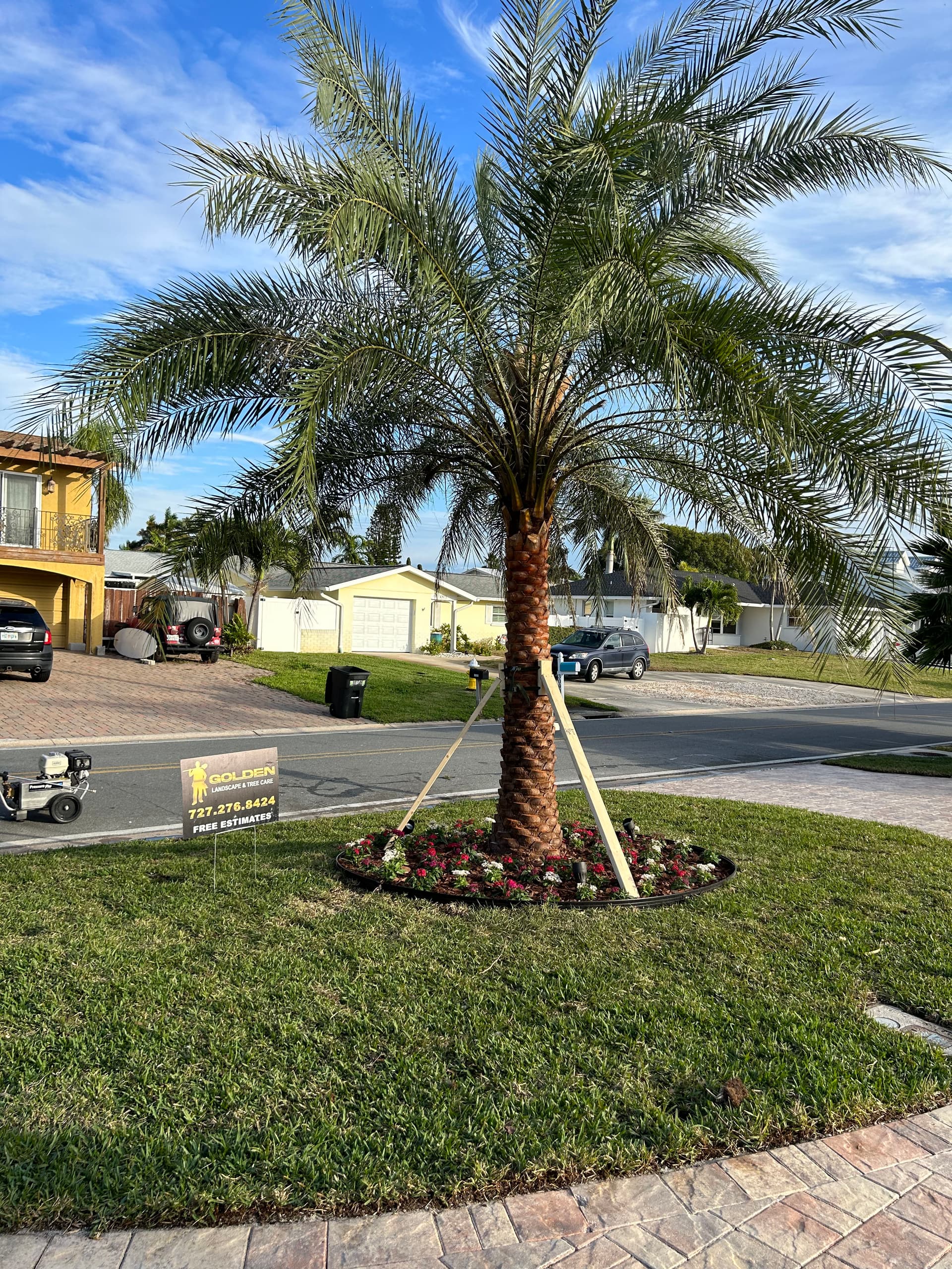 Gallery photos for Tropical Escape with Pavers and Palms: Image #9