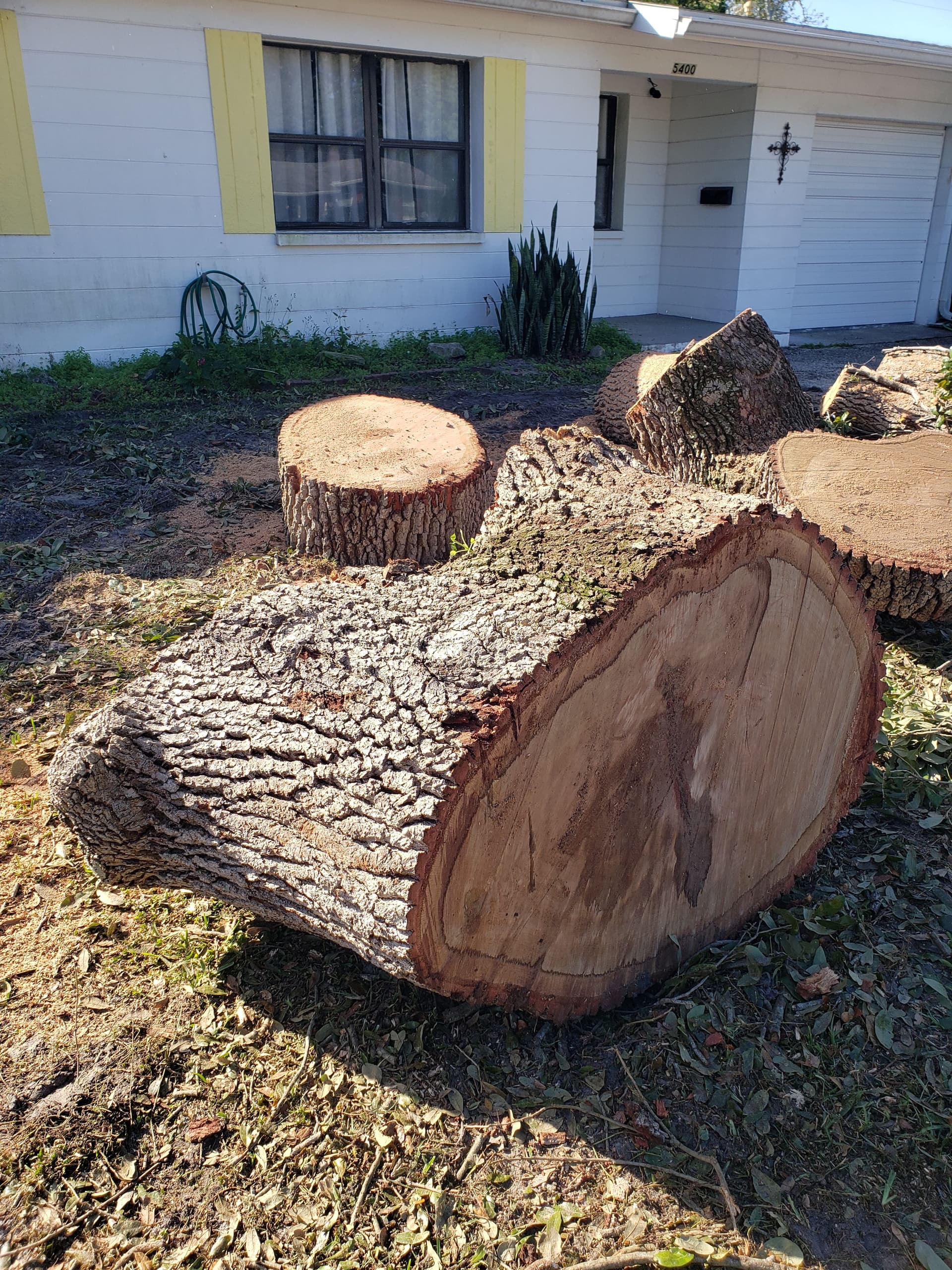 Gallery photos for Efficient Tree Removal in a Suburban Neighborhood: Image #4
