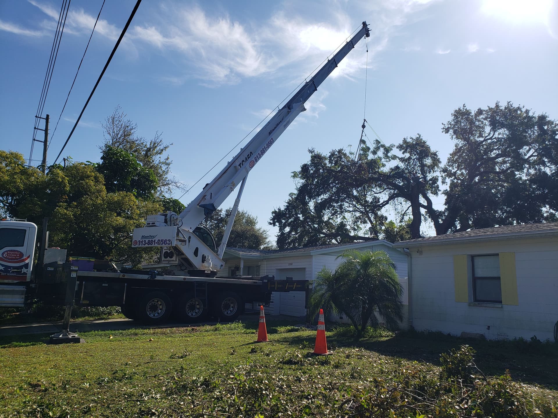 Gallery photos for Efficient Tree Removal in a Suburban Neighborhood: Image #2