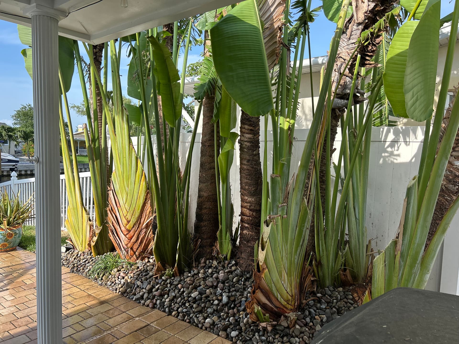 Gallery photos for Lush Exterior Makeover in Waterfront Haven: Image #1