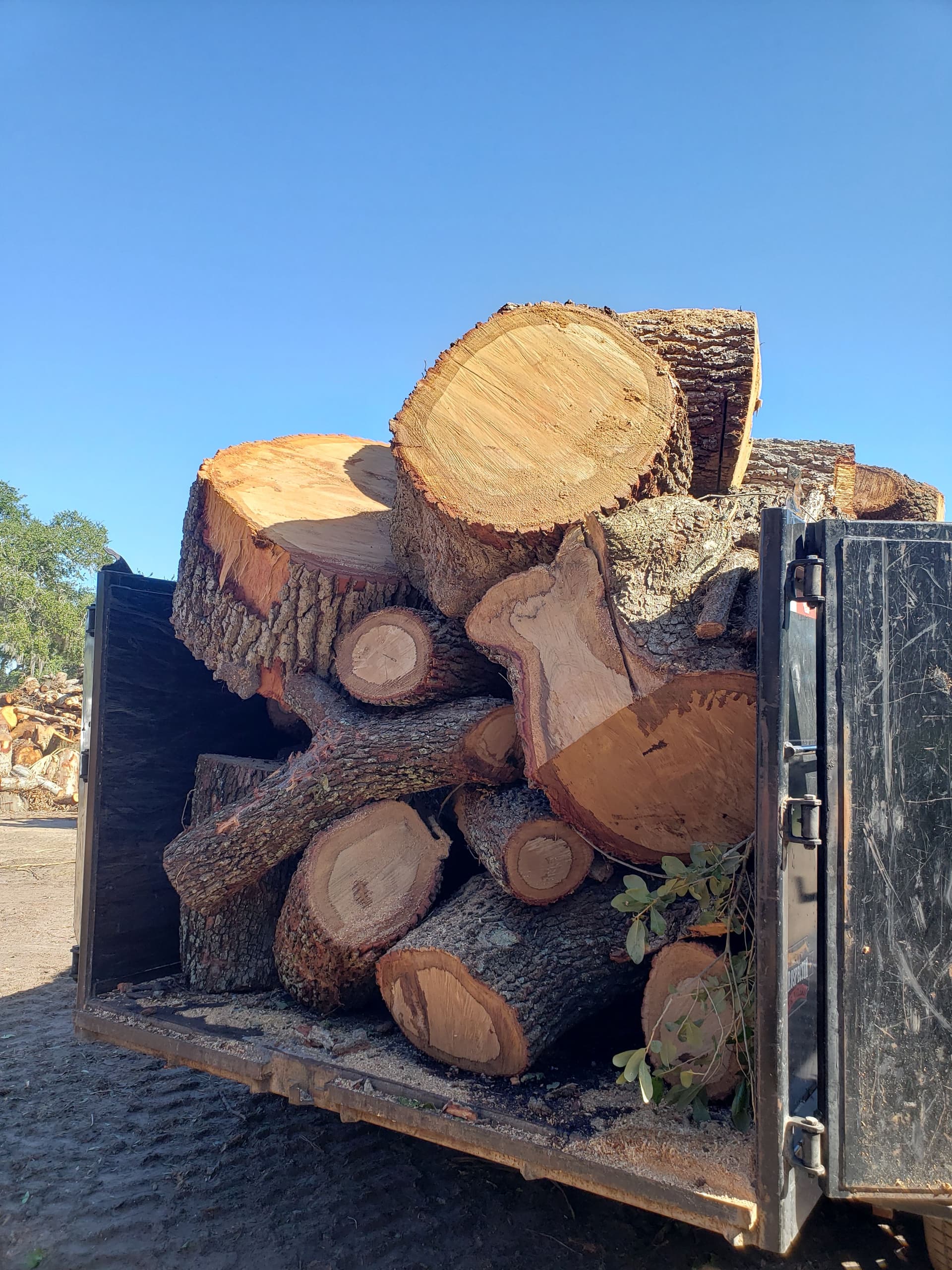 Gallery photos for Efficient Tree Removal in a Suburban Neighborhood: Image #7