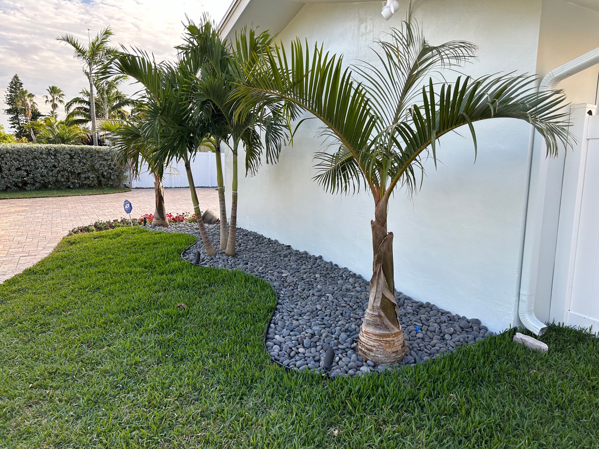 Gallery photos for Tropical Escape with Pavers and Palms: Image #6
